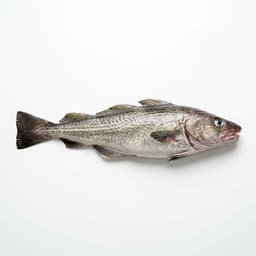Cod