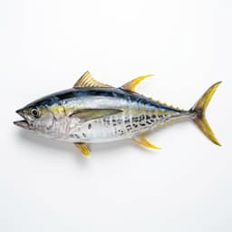 Tuna